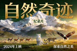 纪录片《自然奇迹》海报 - 壮观的山脉与野生动物场景